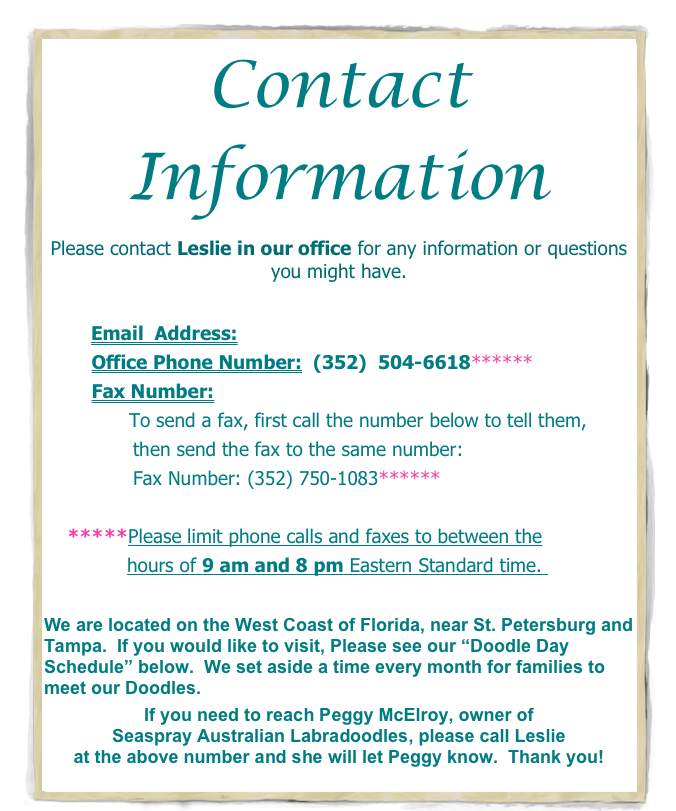 Contact Information                       
Please contact Leslie in our office for any information or questions you might have.          
    
        Email  Address:            Leslie@seasprayal.com
        Office Phone Number:  (352)  504-6618******
        Fax Number: 
                 To send a fax, first call the number below to tell them,
               then send the fax to the same number:
               Fax Number: (352) 750-1083******
               
    *****Please limit phone calls and faxes to between the
              hours of 9 am and 8 pm Eastern Standard time.  

We are located on the West Coast of Florida, near St. Petersburg and Tampa.  If you would like to visit, Please see our “Doodle Day Schedule” below.  We set aside a time every month for families to meet our Doodles.
If you need to reach Peggy McElroy, owner of 
Seaspray Australian Labradoodles, please call Leslie 
at the above number and she will let Peggy know.  Thank you!
