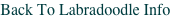 shapeimage_1_link_0