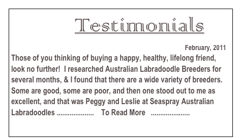                              Testimonials
                                                                                  February, 2011
Those of you thinking of buying a happy, healthy, lifelong friend, look no further!  I researched Australian Labradoodle Breeders for several months, & I found that there are a wide variety of breeders.  Some are good, some are poor, and then one stood out to me as excellent, and that was Peggy and Leslie at Seaspray Australian Labradoodles ....................    To Read More   .....................
CLICK HERE!
